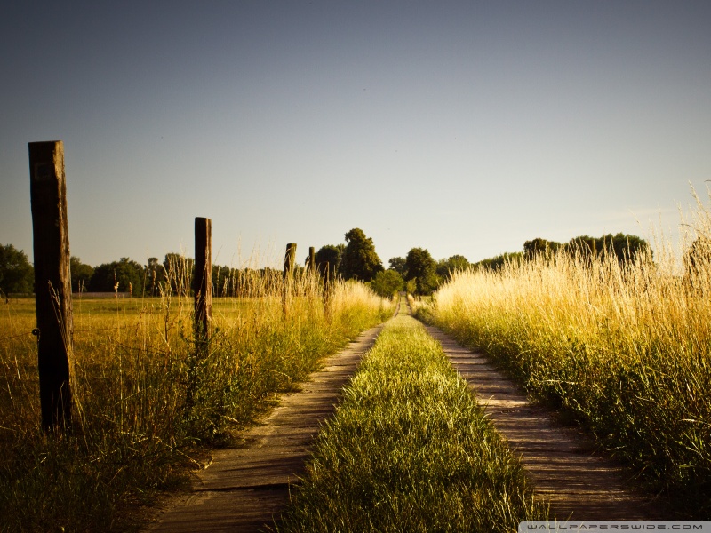 country_road_late_summer-wallpaper-800x600.jpg